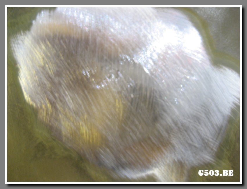 Hole in Wing Welded Up